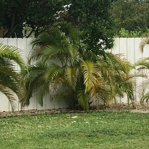 Meet your Posher, Thelys